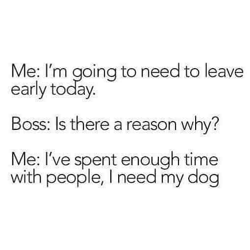 angle - Me I'm going to need to leave early today. Boss Is there a reason why? Me I've spent enough time with people, I need my dog