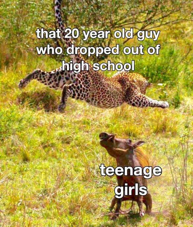 flying leopard - that 20 year old guy who dropped out of high school teenage girls