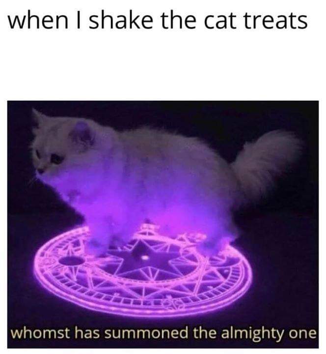 whomst has summoned the almighty one - when I shake the cat treats whomst has summoned the almighty one