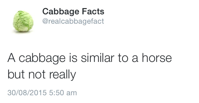 produce - Cabbage Facts A cabbage is similar to a horse but not really 30082015