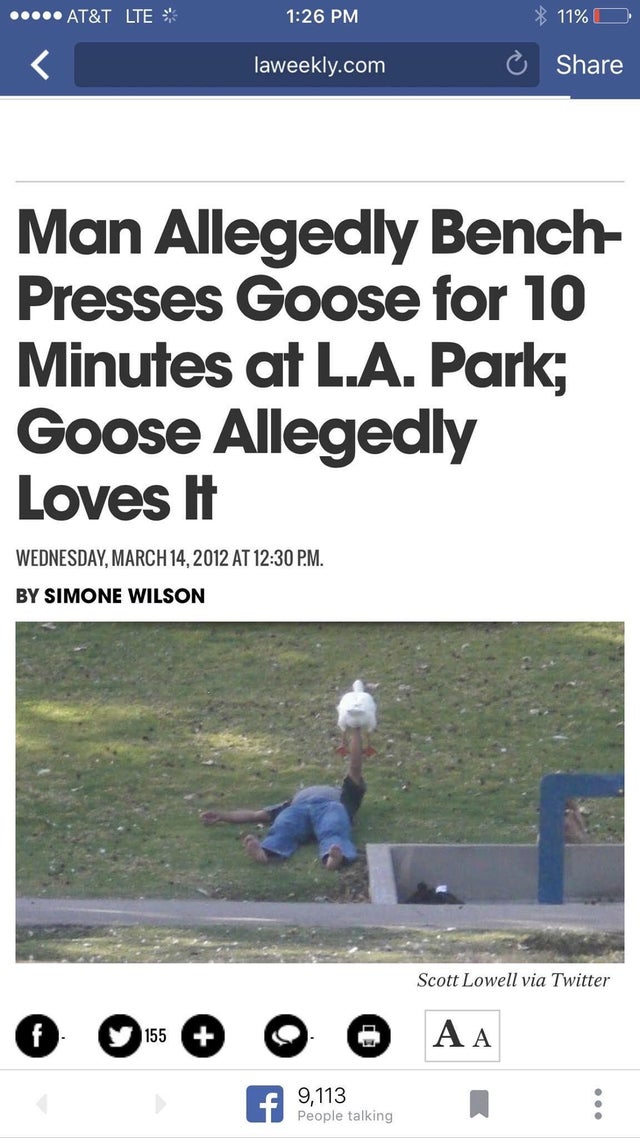 bench pressing goose - ..... At&T Lte 11%O laweekly.com Man Allegedly Bench Presses Goose for 10 Minutes at L.A. Park; Goose Allegedly Loves it Wednesday, At P.M. By Simone Wilson Scott Lowell via Twitter 0 0 0 0 0 Aa 9,113 People talking