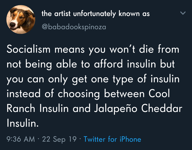 photo caption - the artist unfortunately known as Socialism means you won't die from not being able to afford insulin but you can only get one type of insulin instead of choosing between Cool Ranch Insulin and Jalapeo Cheddar Insulin. 22 Sep 19 Twitter fo
