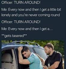 every now and then i get a little bit lonely - Officer Turn Around! Me Every now and then I get a little bit lonely and you're never coming round Officer Turn Around! Me Every now and then I get a... gets tasered