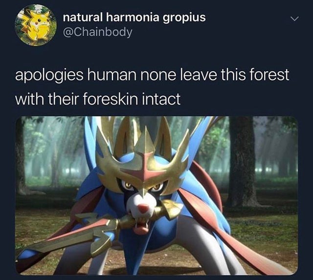 new pokemon legendary - natural harmonia gropius apologies human none leave this forest with their foreskin intact