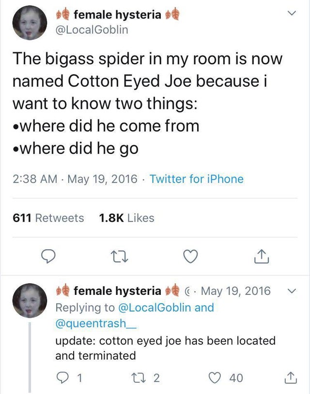 cotton eye joe spider meme - female hysteria The bigass spider in my room is now named Cotton Eyed Joe because i want to know two things Where did he come from where did he go Twitter for iPhone 611 v hysteria and update cotton eyed joe has been located a