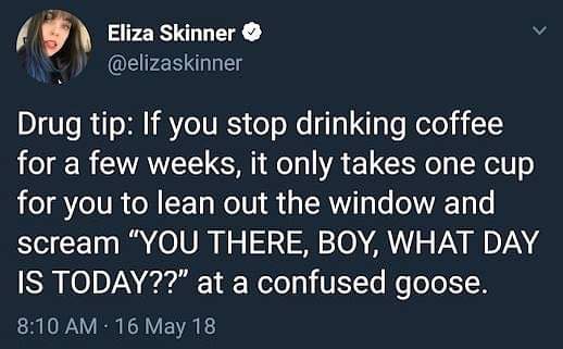 minimum wage minimum effort - Eliza Skinner Drug tip If you stop drinking coffee for a few weeks, it only takes one cup for you to lean out the window and scream You There, Boy, What Day Is Today??" at a confused goose. 16 May 18
