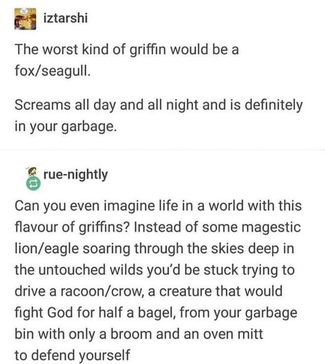 racoon griffin - iztarshi The worst kind of griffin would be a foxseagull. Screams all day and all night and is definitely in your garbage. ruenightly Can you even imagine life in a world with this flavour of griffins? Instead of some magestic lioneagle s