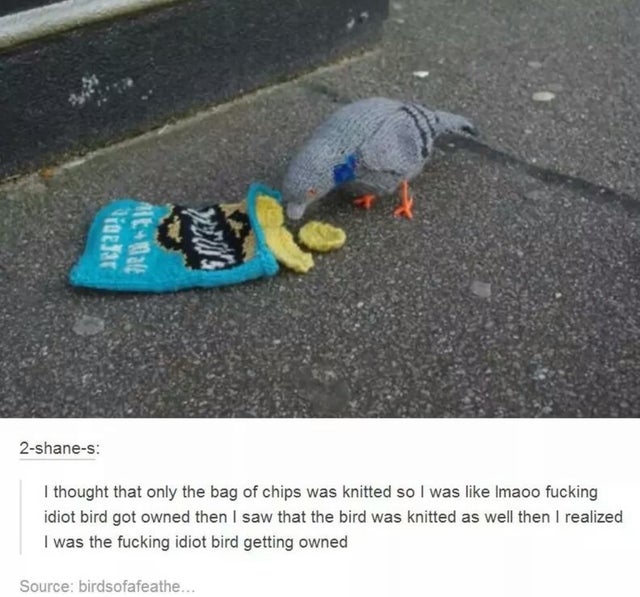 knitted bird eating chips - Viach Alturale Sub 2shanes I thought that only the bag of chips was knitted so I was Imaoo fucking idiot bird got owned then I saw that the bird was knitted as well then I realized I was the fucking idiot bird getting owned Sou