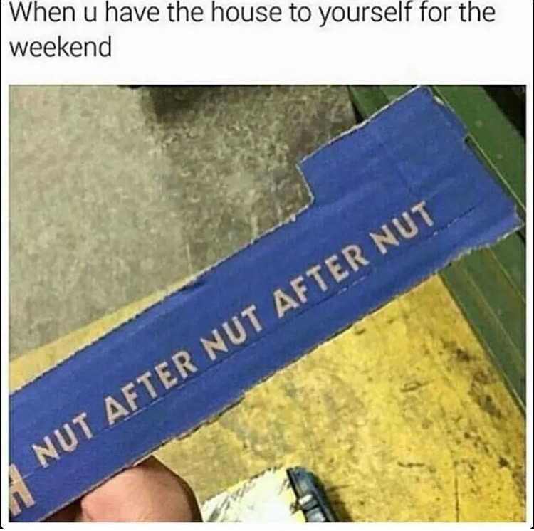 nut after nut after nut meme - When u have the house to yourself for the weekend Nut After Nut After Nut