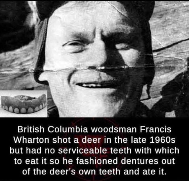 francis wharton - British Columbia woodsman Francis Wharton shot a deer in the late 1960s but had no serviceable teeth with which to eat it so he fashioned dentures out of the deer's own teeth and ate it.