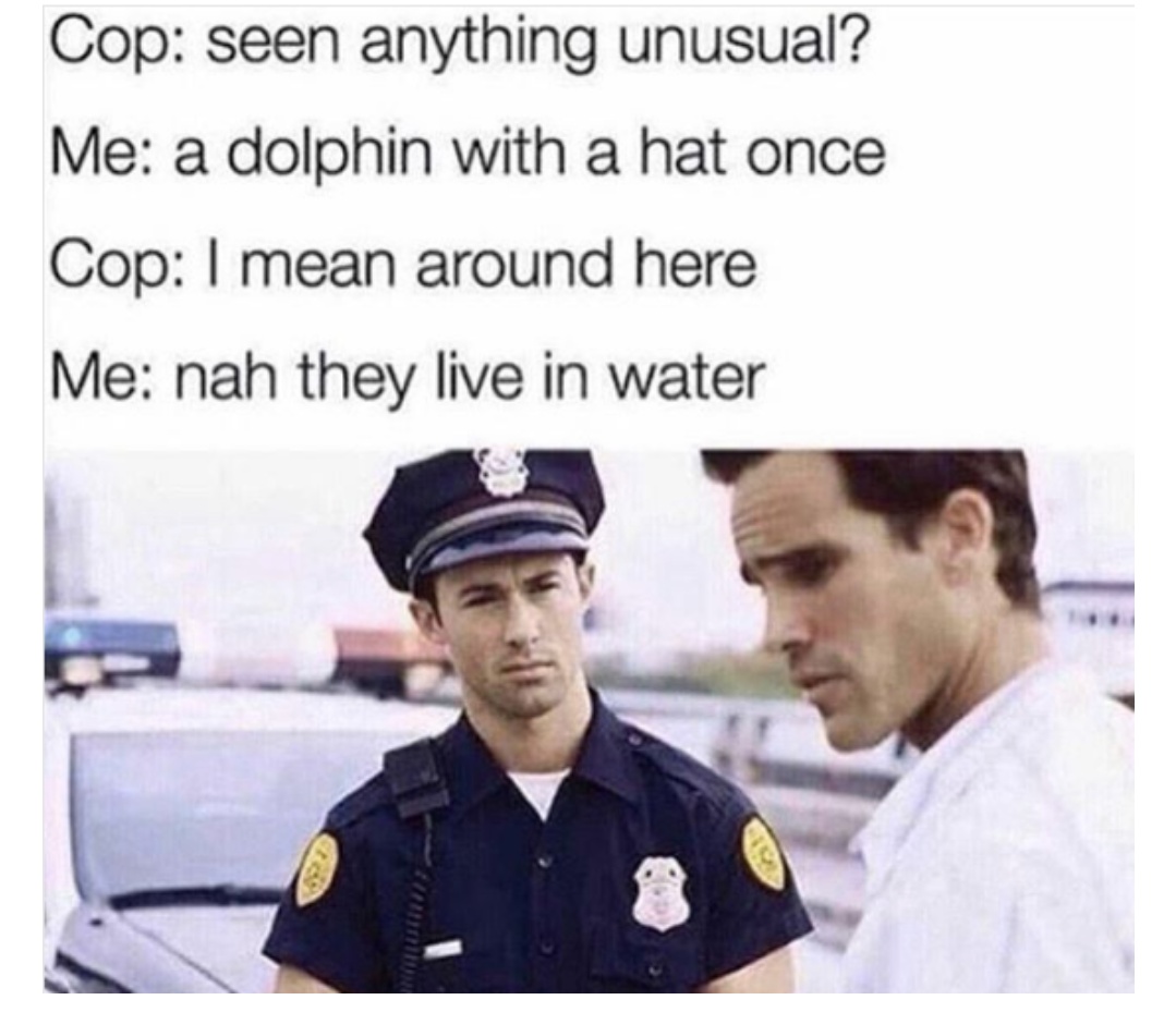 dolphin with a hat meme - Cop seen anything unusual? Me a dolphin with a hat once Cop I mean around here Me nah they live in water