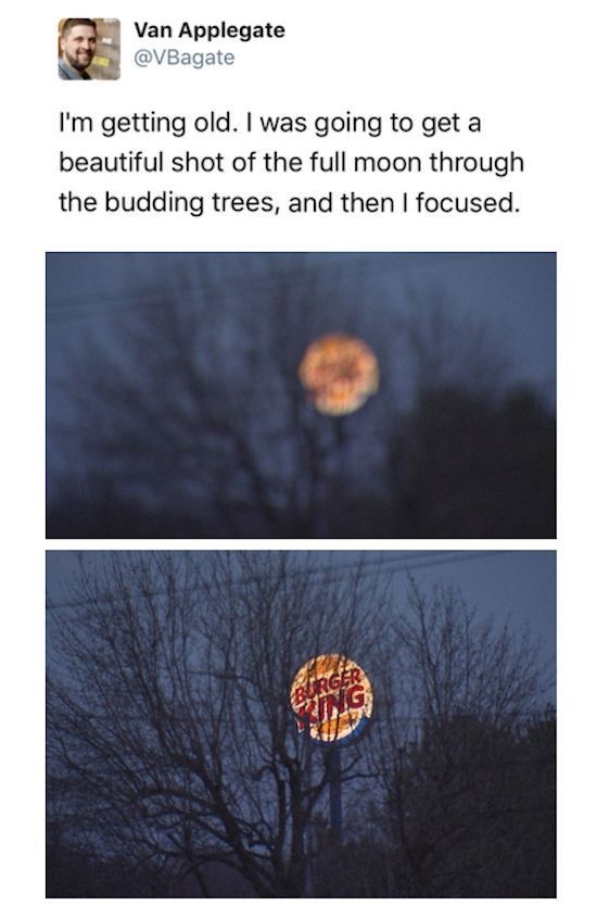 beautiful moon meme - Van Applegate I'm getting old. I was going to get a beautiful shot of the full moon through the budding trees, and then I focused.