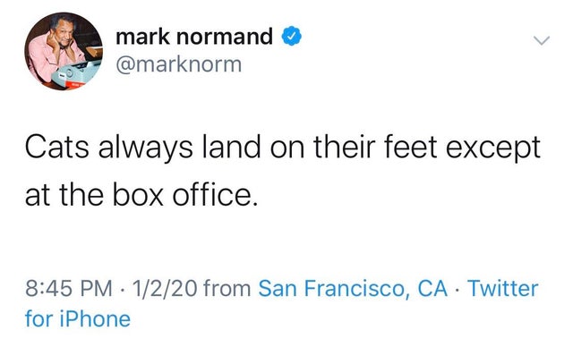 twitter funny - mark normand Cats always land on their feet except at the box office. 1220 from San Francisco, Ca Twitter for iPhone