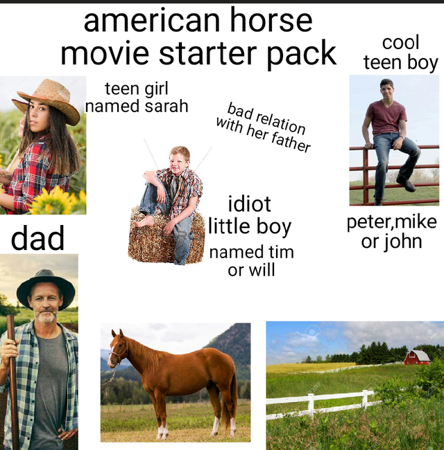 rein - american horse movie starter pack teen bov teen girl named sarah bad relation with her father dad idiot little boy named tim or will peter,mike or john