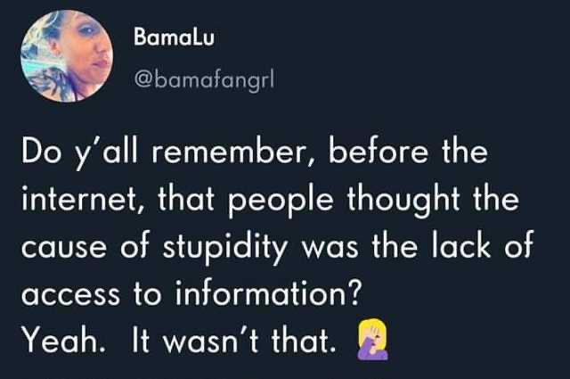 presentation - Bamalu Do y'all remember, before the internet, that people thought the cause of stupidity was the lack of access to information? Yeah. It wasn't that