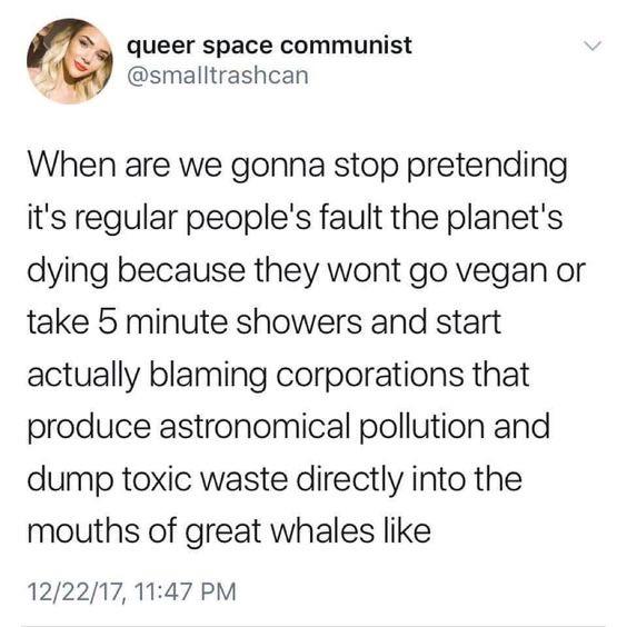 queer space communist When are we gonna stop pretending it's regular people's fault the planet's dying because they wont go vegan or take 5 minute showers and start actually blaming corporations that produce astronomical pollution and dump toxic waste…