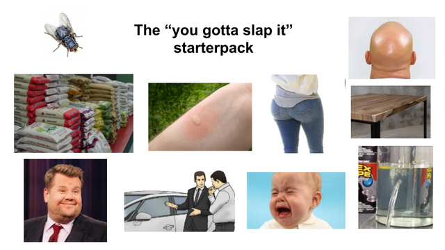 arm - The way reach aplies The "you gotta slap it" starterpack