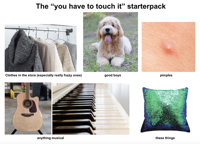 pet - The "you have to touch it" starterpack Clothes in the store especially really fuzzy ones good boys pimples anything musical these things