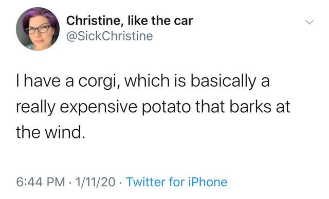 ever take a poop so big it's gay - Christine, the car Thave a corgi, which is basically a really expensive potato that barks at the wind. 11120 Twitter for iPhone