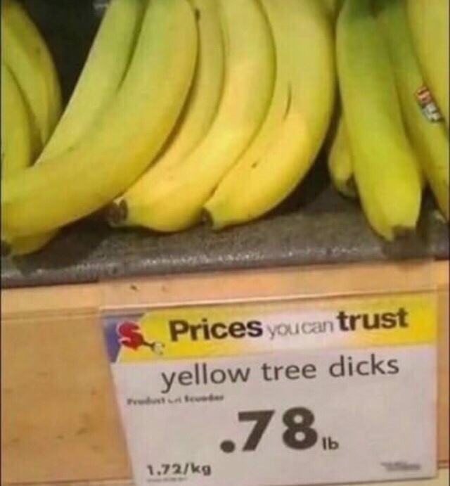 yellow tree dicks - Prices You can trust yellow tree dicks .781 1.72kg