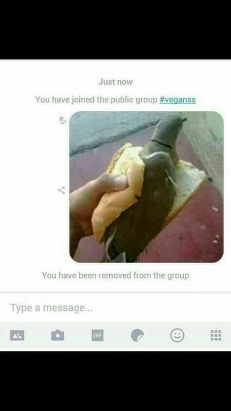 you have been removed from the group - Just now You have joined the public group You have been removed from the group Type a message...