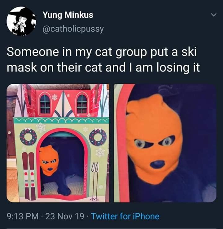 ski masks on cats - Yung Minkus Someone in my cat group put a ski mask on their cat and I am losing it mm Cloradony 23 Nov 19. Twitter for iPhone