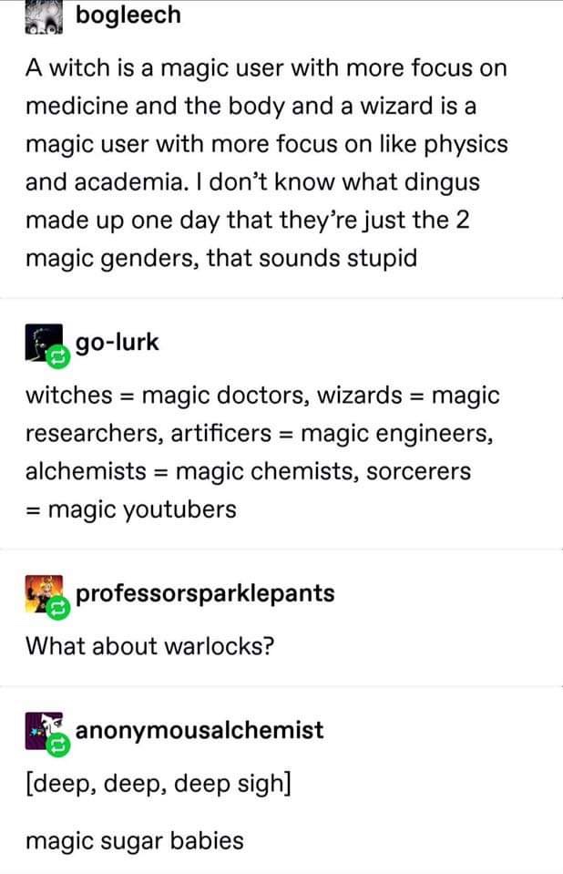 document - bogleech A witch is a magic user with more focus on medicine and the body and a wizard is a magic user with more focus on physics and academia. I don't know what dingus made up one day that they're just the 2 magic genders, that sounds stupid E