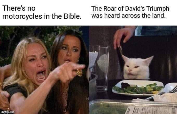 mandalorian cat meme - There's no motorcycles in the Bible. The Roar of David's Triumph was heard across the land. Imgflip.com