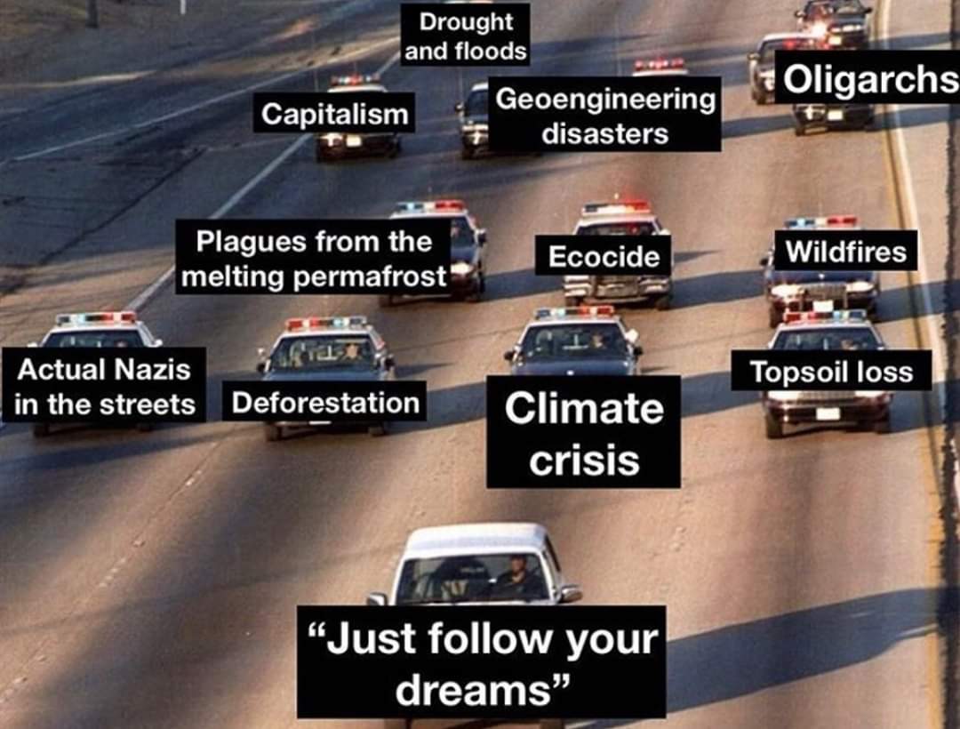 road - Drought and floods Oligarchs Capitalism Geoengineering disasters Plagues from the melting permafrost Ecocide Wildfires Actual Nazis in the streets Deforestation Topsoil loss Climate crisis Just your dreams