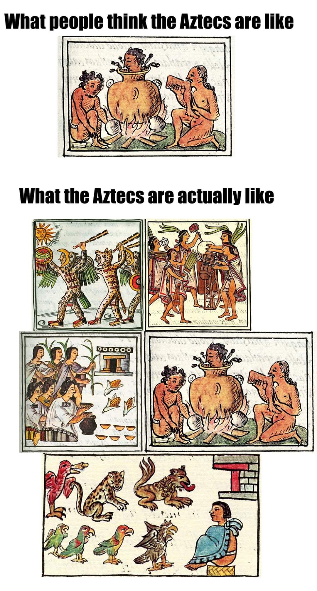 comics - What people think the Aztecs are What the Aztecs are actually wut Oooooo