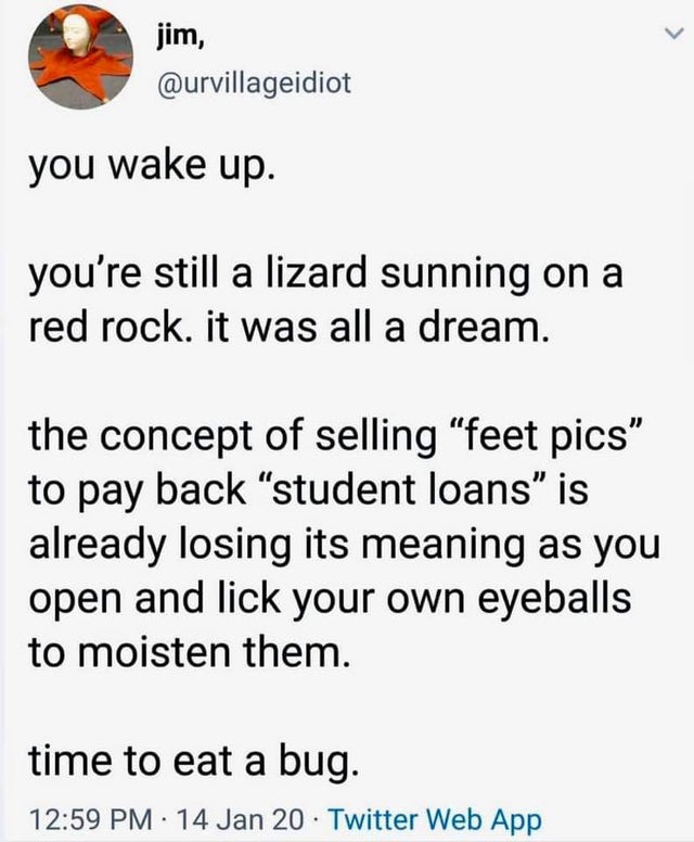 erec rex book 5 - jim, you wake up. you're still a lizard sunning on a red rock. it was all a dream. the concept of selling "feet pics" to pay back student loans is already losing its meaning as you open and lick your own eyeballs to moisten them. time to