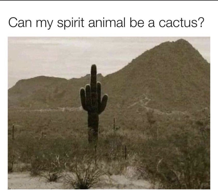 think i found my spirit plant - Can my spirit animal be a cactus?