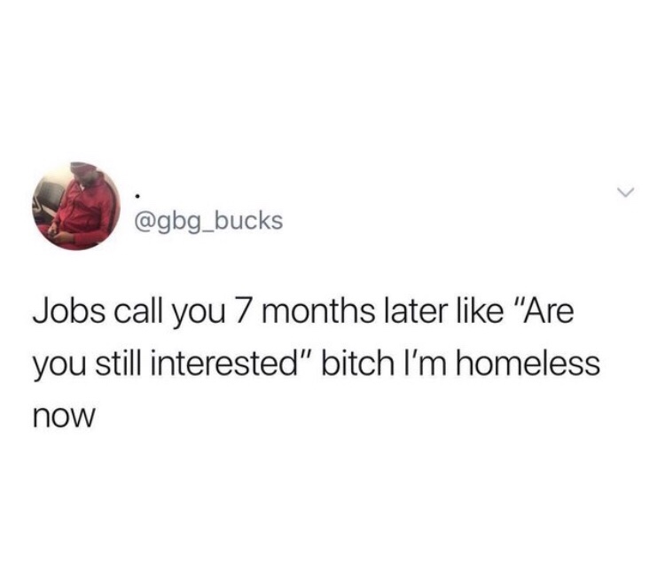 jobs call you 7 months later meme - Jobs call you 7 months later "Are you still interested" bitch I'm homeless now