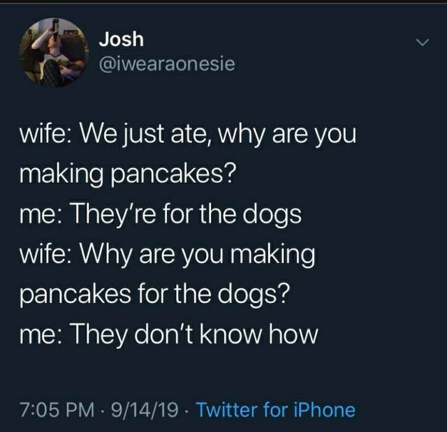 spring rolls are unpredictable - Josh wife We just ate, why are you making pancakes? me They're for the dogs wife Why are you making pancakes for the dogs? 'me They don't know how 91419 Twitter for iPhone