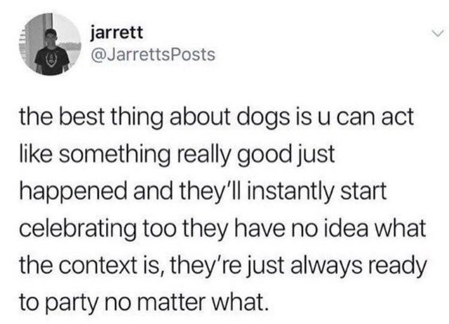 don t be a transphobe chad - jarrett the best thing about dogs is u can act something really good just happened and they'll instantly start celebrating too they have no idea what the context is, they're just always ready to party no matter what.