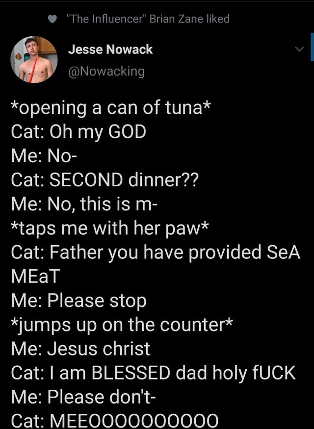 screenshot - "The Influencer" Brian Zane d Jesse Nowack opening a can of tuna Cat Oh my God Me No Cat Second dinner?? Me No, this is m taps me with her paw Cat Father you have provided SeA Meat Me Please stop jumps up on the counter Me Jesus christ Cat I 
