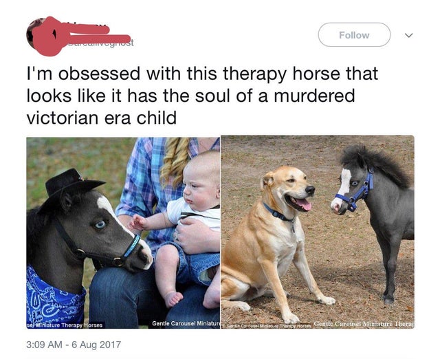 mrs haversham killed me - v vognost I'm obsessed with this therapy horse that looks it has the soul of a murdered victorian era child Thure Therapy Horses Gentle Carousel Miniature Garden haar hores Gentle Carousel Mitmature Th
