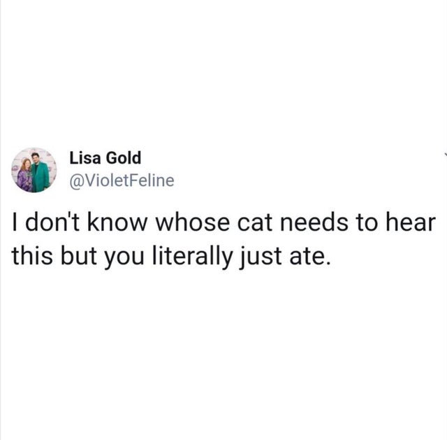 Lisa Gold I don't know whose cat needs to hear this but you literally just ate.