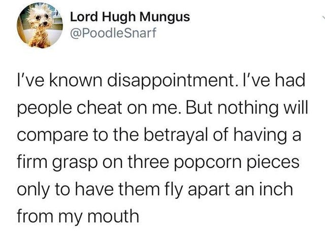 im not jealous flavio im gay - Lord Hugh Mungus Snarf I've known disappointment. I've had people cheat on me. But nothing will compare to the betrayal of having a firm grasp on three popcorn pieces only to have them fly apart an inch from my mouth