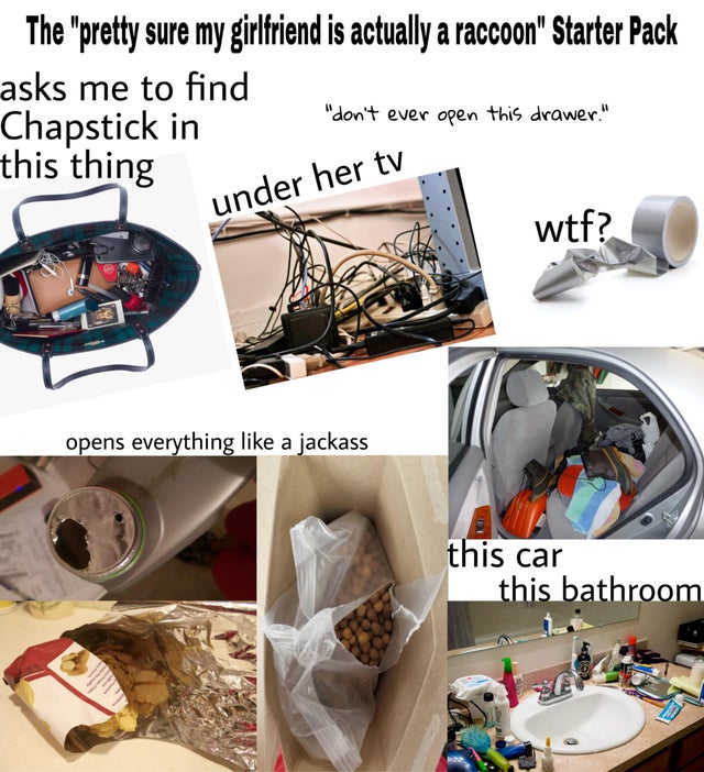 plastic -don't ever open this drawer." The "pretty sure my girlfriend is actually a raccoon Starter Pack asks me to find Chapstick in this thing wtf? under her tv opens everything a jackass this car this bathroom Av