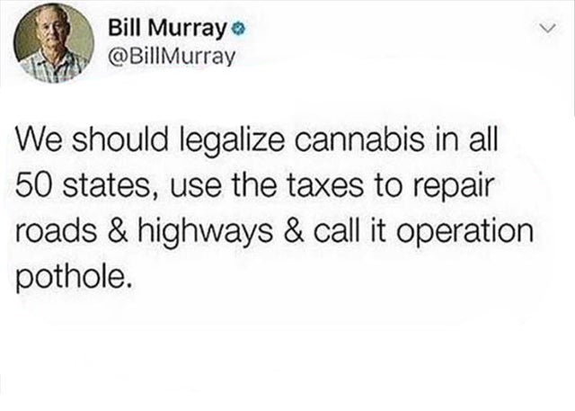 sea que no follemos por un malentendido - Bill Murray Murray We should legalize cannabis in all 50 states, use the taxes to repair roads & highways & call it operation pothole.