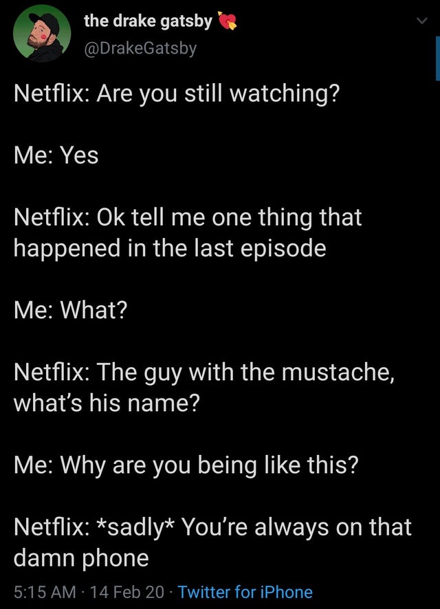 screenshot - the drake gatsby Netflix Are you still watching? Me Yes Netflix Ok tell me one thing that happened in the last episode Me What? Netflix The guy with the mustache, what's his name? Me Why are you being this? Netflix sadly You're always on that
