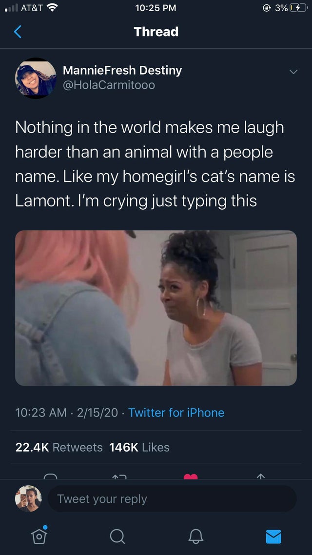 screenshot - . | At&T @ 3%9 Thread Mannie Fresh Destiny 'Nothing in the world makes me laugh 'harder than an animal with a people name. my homegirl's cat's name is Lamont. I'm crying just typing this 21520 Twitter for iPhone Gr Tweet your