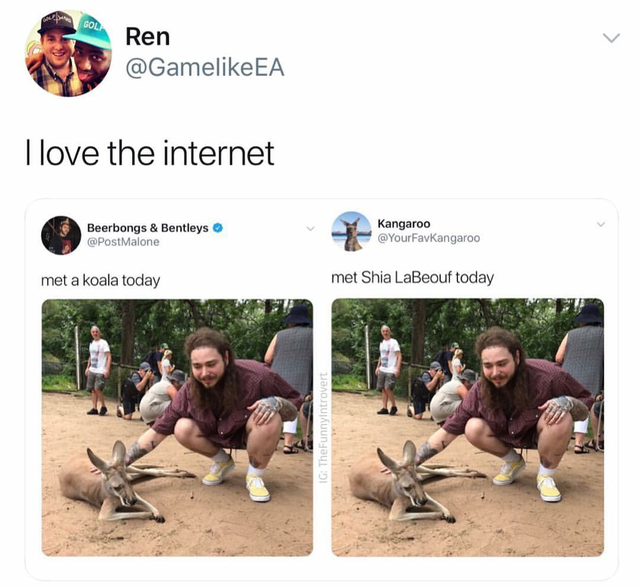 post malone kangaroo tweet - Gol Ren Ea Llove the internet Beerbongs & Bentleys Malone Kangaroo met a koala today met Shia LaBeouf today Ig TheFunnyIntrovert
