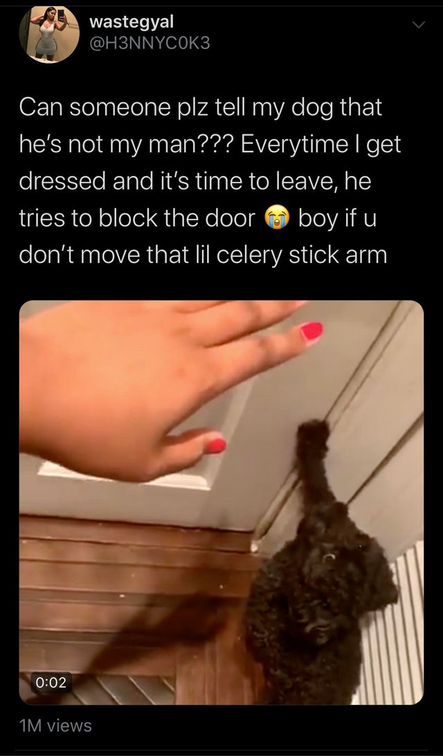 hand - wastegyal Can someone plz tell my dog that he's not my man??? Everytime I get dressed and it's time to leave, he tries to block the door boy if u don't move that lil celery stick arm 1M views
