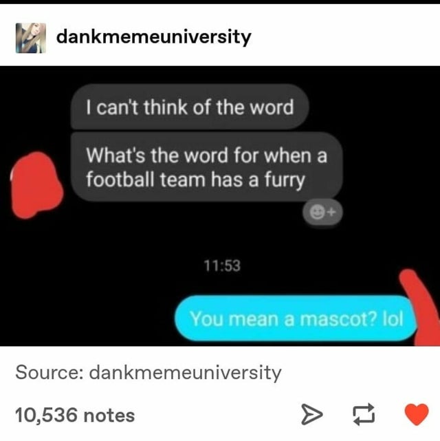 multimedia - dankmemeuniversity I can't think of the word What's the word for when a football team has a furry You mean a mascot? lol Source dankmemeuniversity 10,536 notes