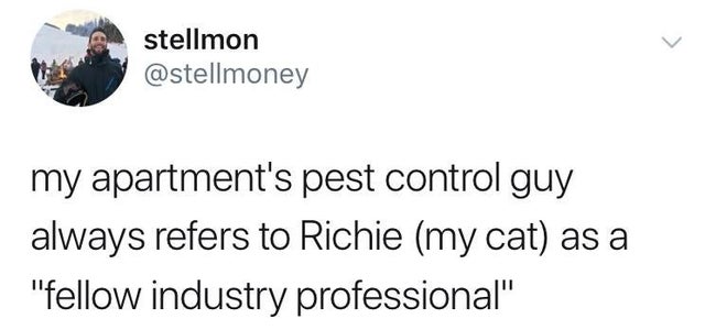 detective pikachu deadpool ryan reynolds meme - stellmon my apartment's pest control guy always refers to Richie my cat as a "fellow industry professional"