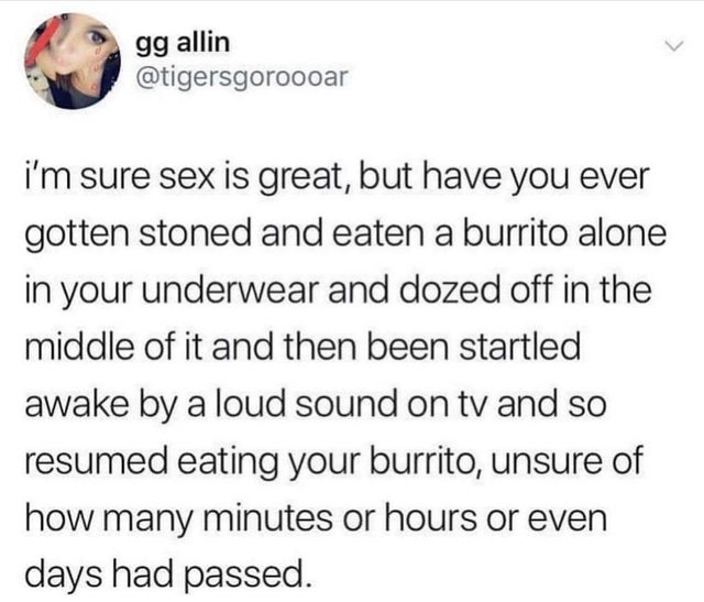 document - gg allin i'm sure sex is great, but have you ever gotten stoned and eaten a burrito alone in your underwear and dozed off in the middle of it and then been startled awake by a loud sound on tv and so resumed eating your burrito, unsure of how m