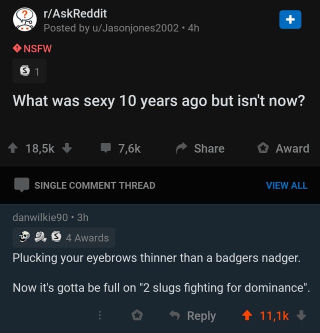 screenshot - rAskReddit Posted by uJasonjones 2002.4h Nsfw 31 What was sexy 10 years ago but isn't now? Award Single Comment Thread View All danwilkie 90 3h O S 4 Awards Plucking your eyebrows thinner than a badgers nadger. Now it's gotta be full on "2 sl