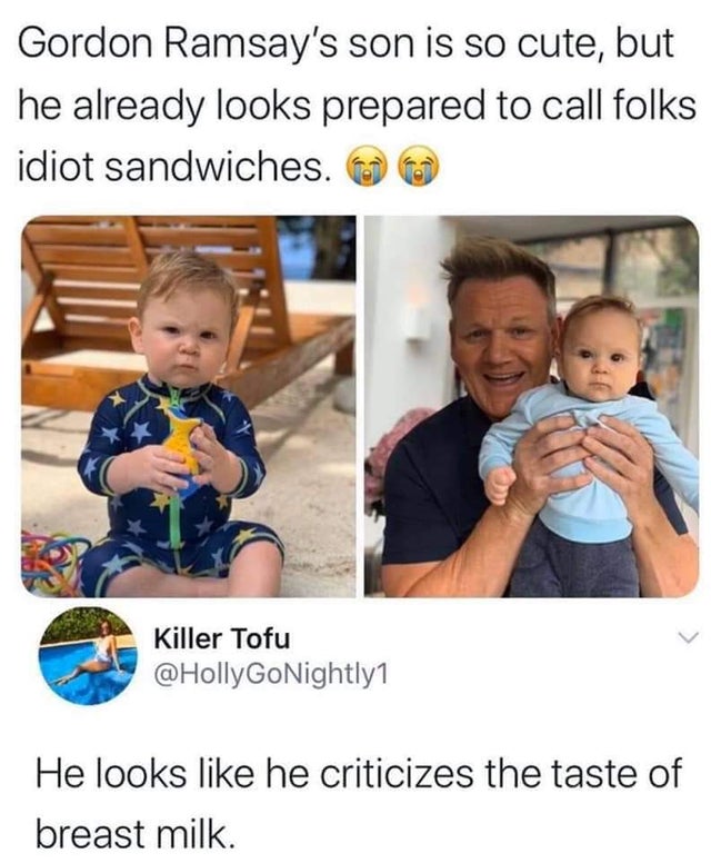 MINI of Ramsey - Gordon Ramsay's son is so cute, but he already looks prepared to call folks idiot sandwiches. Killer Tofu He looks he criticizes the taste of breast milk.